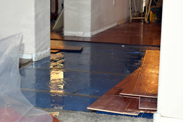 Professional Sewage Cleanup technician working in Hobson, TX